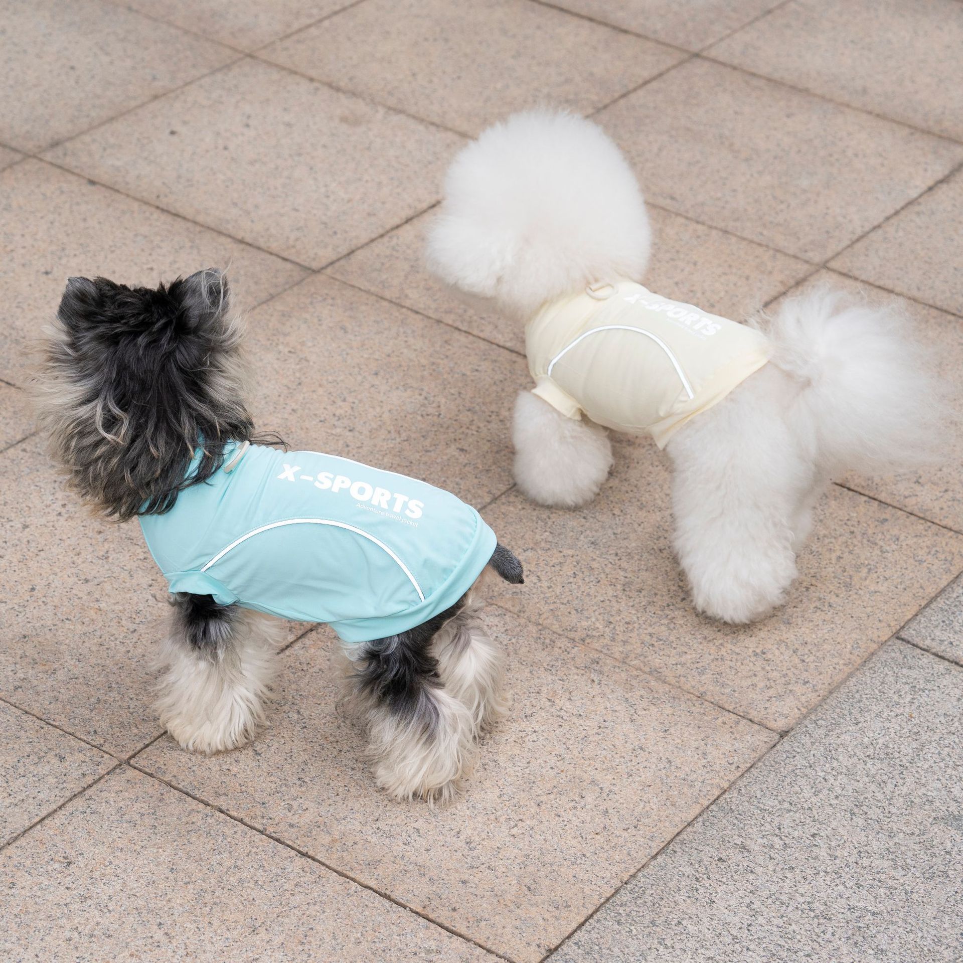 Pet Dog Clothing For Spring Su - Summer Clothing Cheap ulasan dan harga