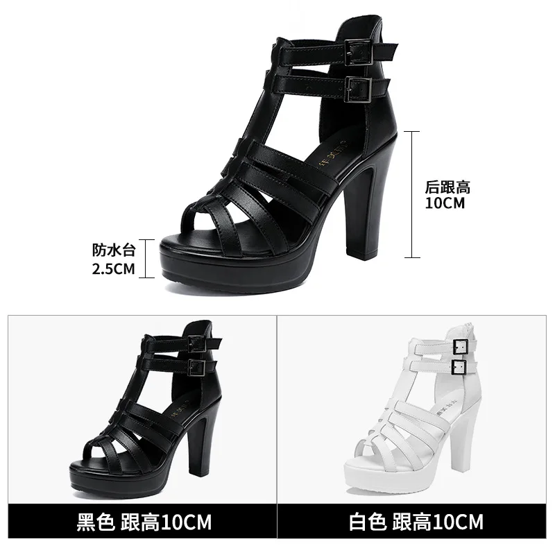 Gladiator Ladies Shoe for Wome - Summer Closet ulasan dan harga